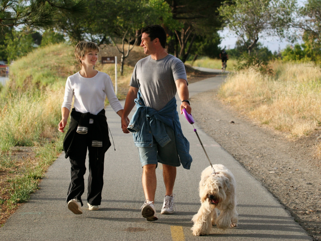 Casal caminhando de mãos dadas com o cachorro ao ar livre, demonstrando conexão, bem-estar e a importância de atividades simples na rotina do casal.
